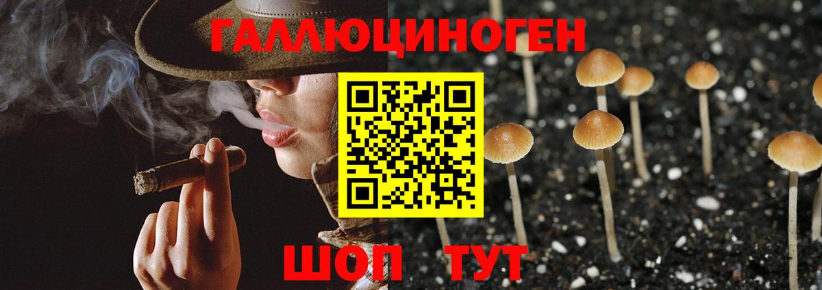 Галлюциногенные грибы Cubensis  Вход с VPN  Медногорск  Псилоцибиновые грибы Psilocybe 
